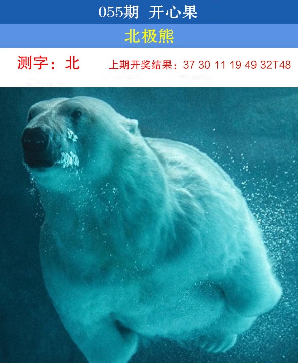 055期开心果[图]