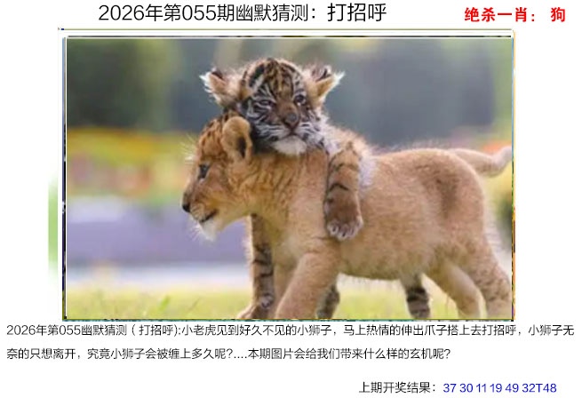 055期幽默猜测[图]