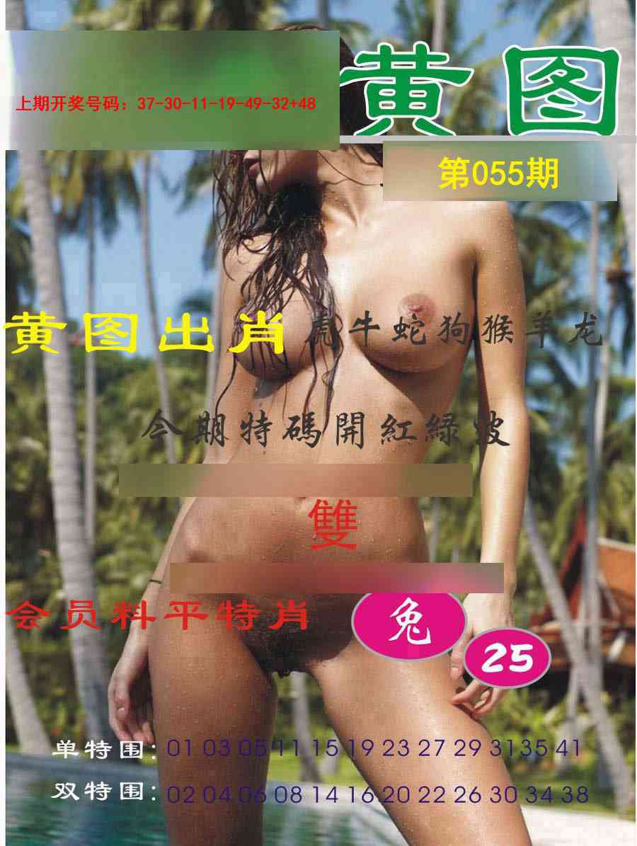 055期黄图[图]