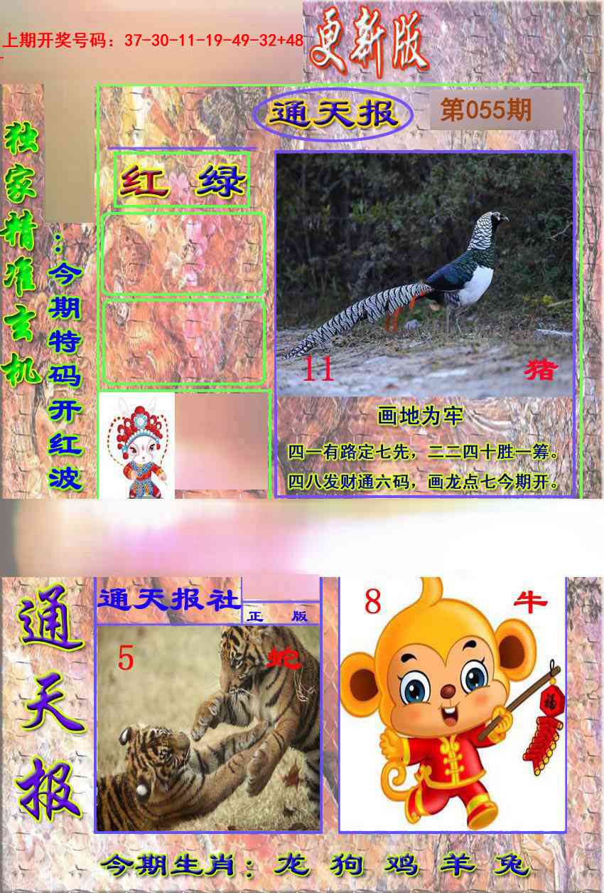 055期新通报[图]
