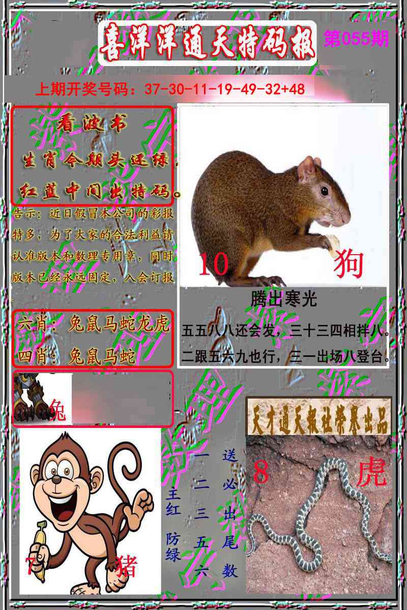 055期洋通报[图]