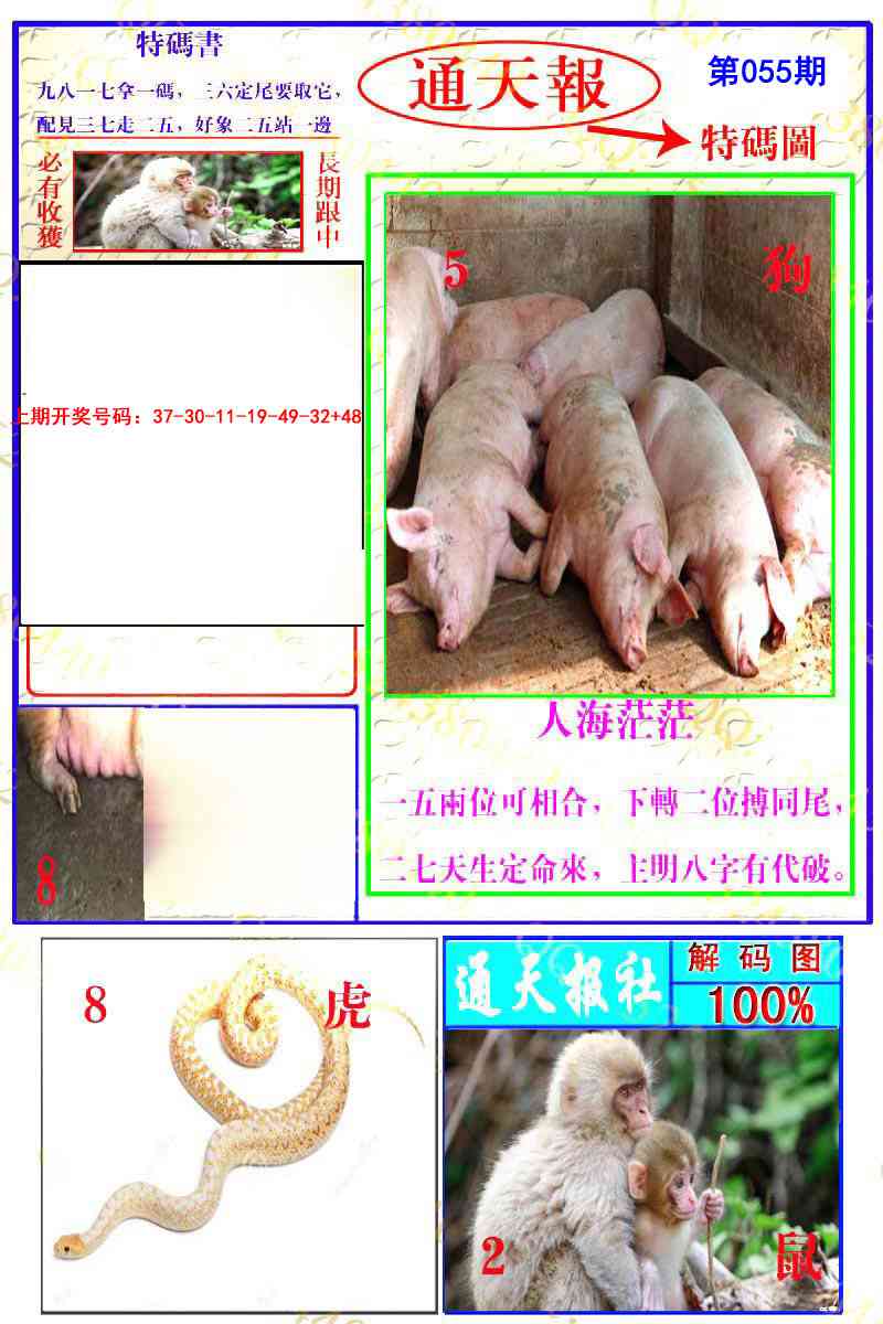 055期通天特解图[图]