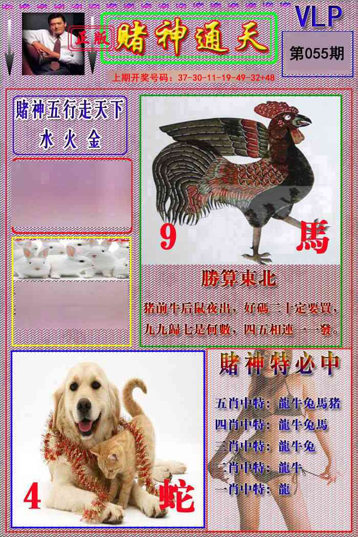 055期赌神通天报[图]