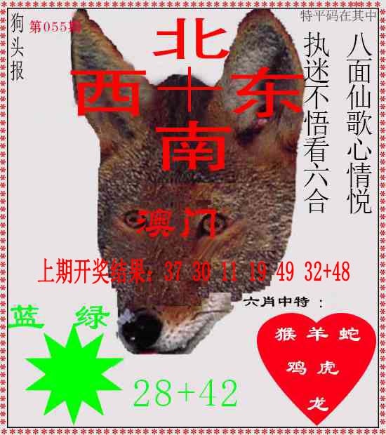 055期狗头报[图]