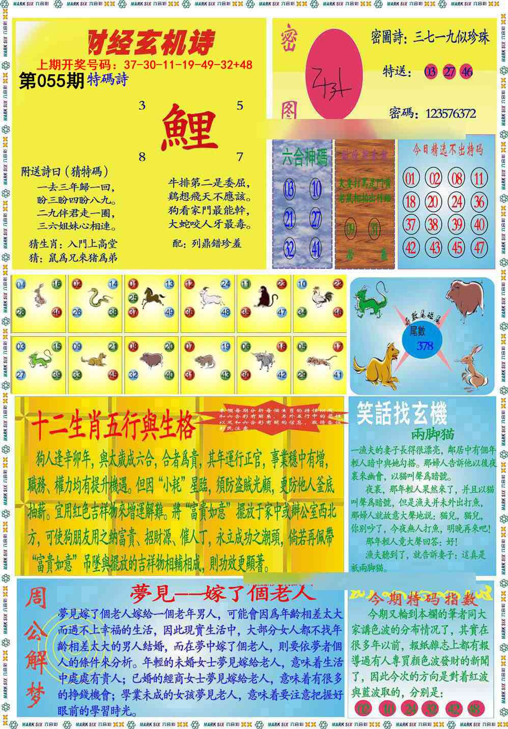 055期九龍财经B(推荐)[图]