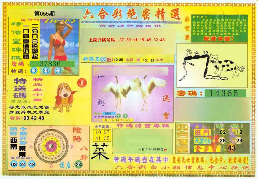 055期绝密精选A[图]