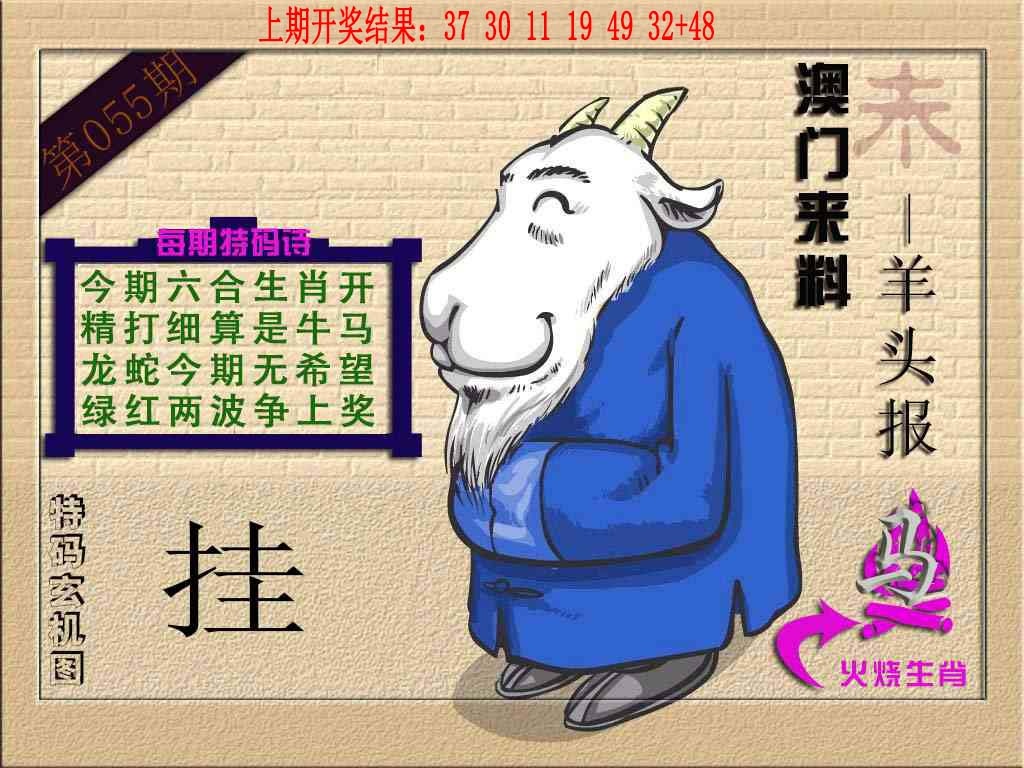 055期(来料)羊报[图]
