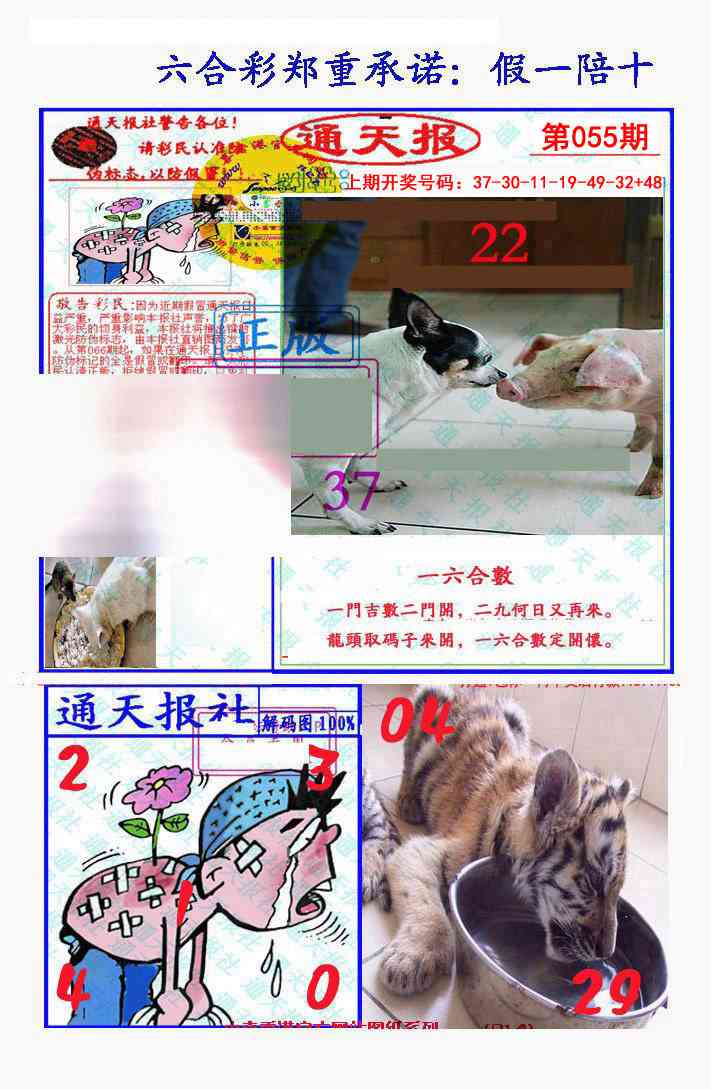 055期假一陪十通天报[图]