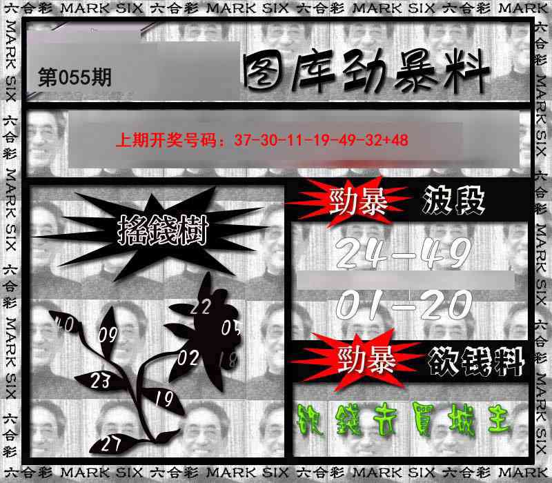 055期劲暴来料[图]