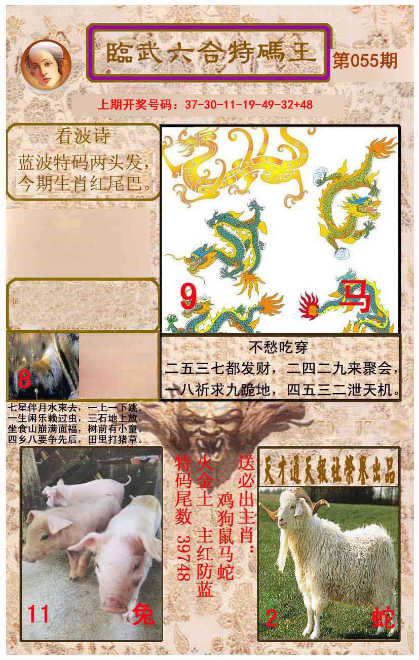 055期临武六合特码王[图]