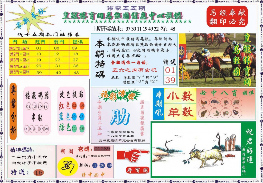 055期体育网马经图[图]