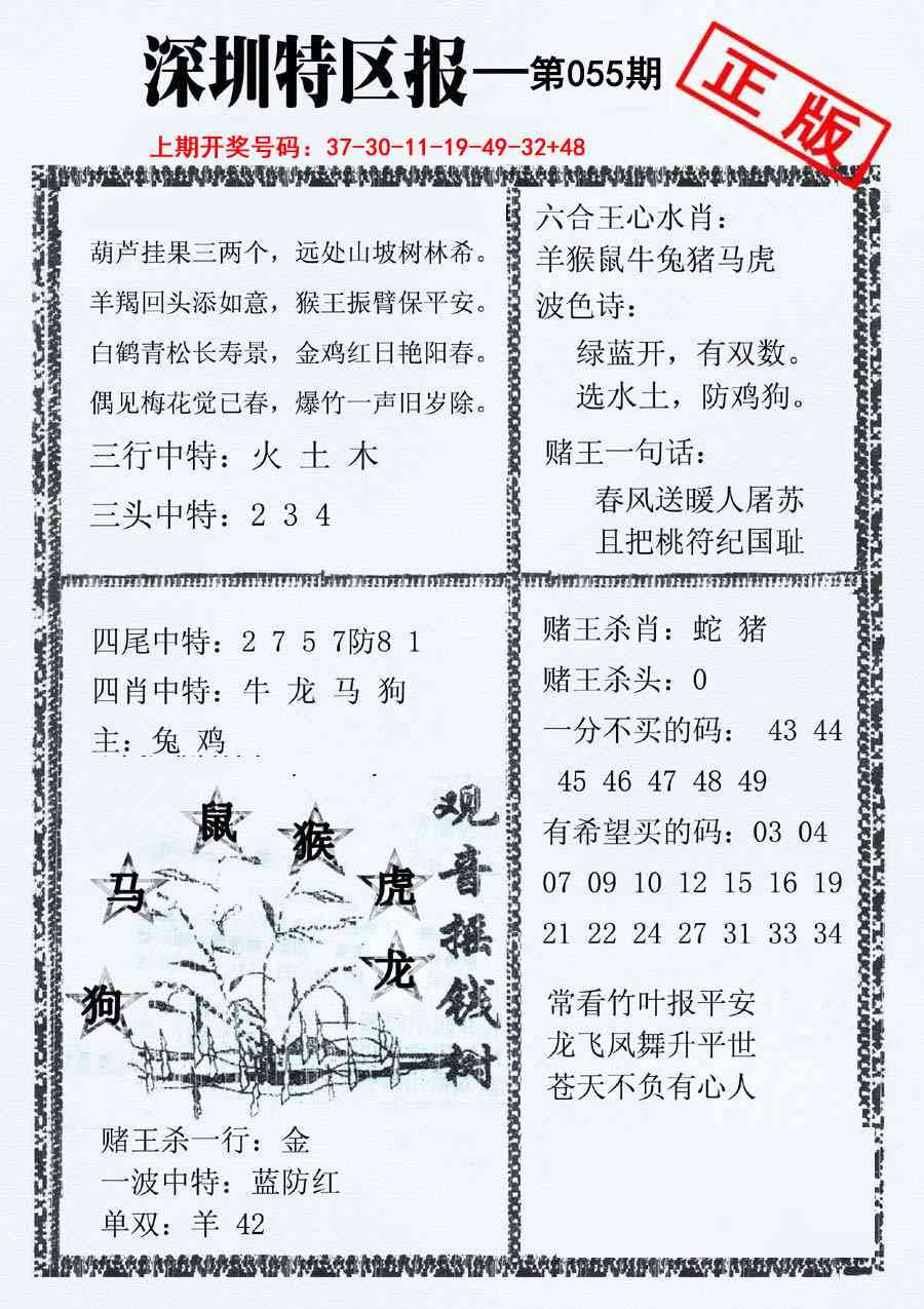055期深圳特区报A[图]