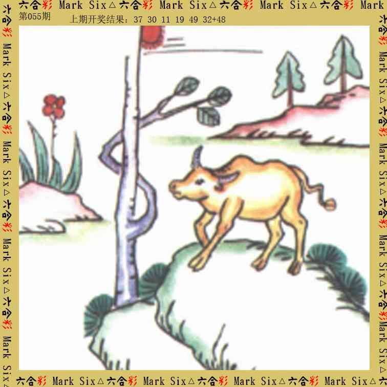 055期藏宝图[图]