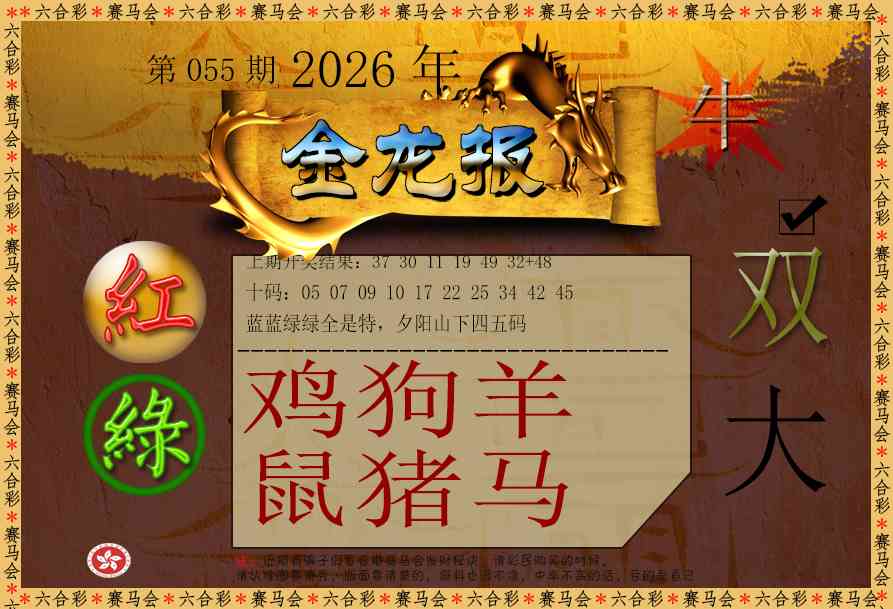 055期金龙报[图]