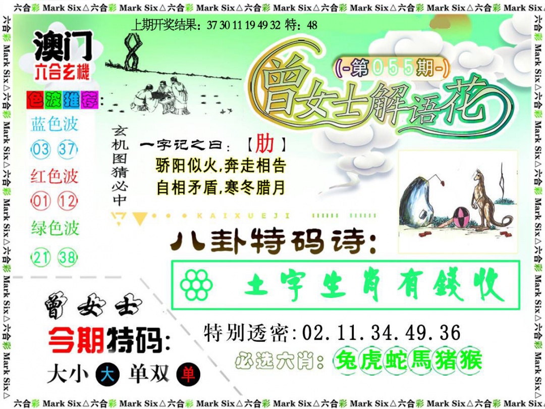 055期曾女士解语花[图]