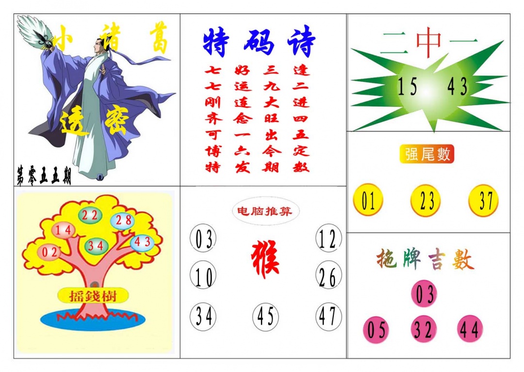 055期小诸葛[图]