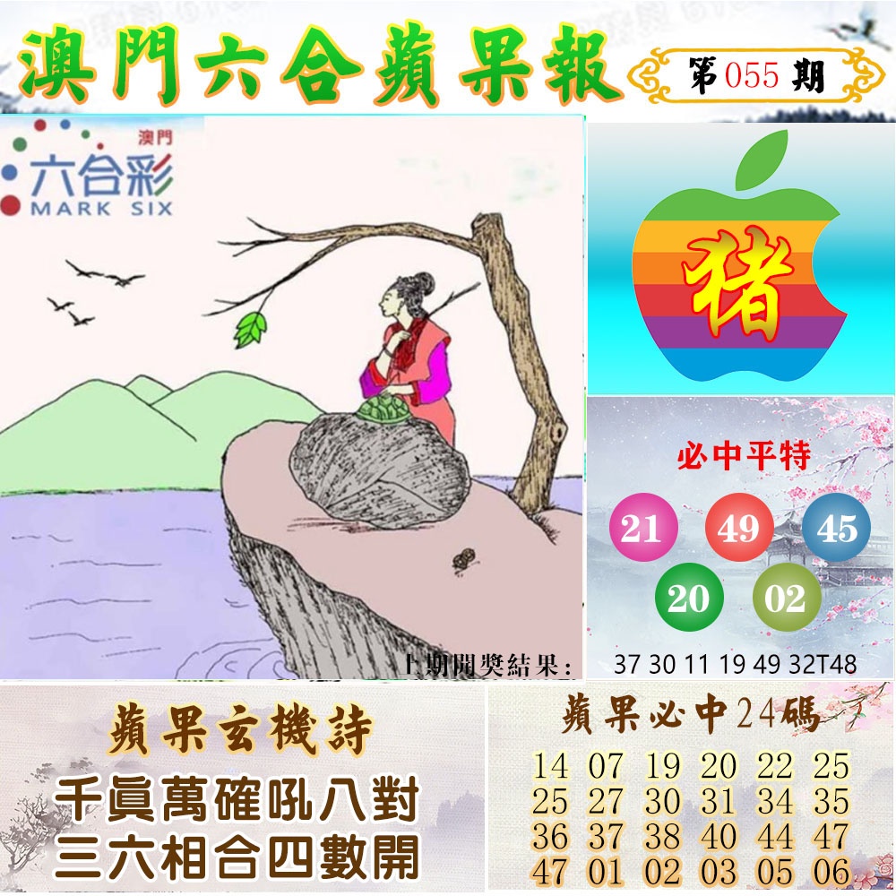 055期苹果报[图]