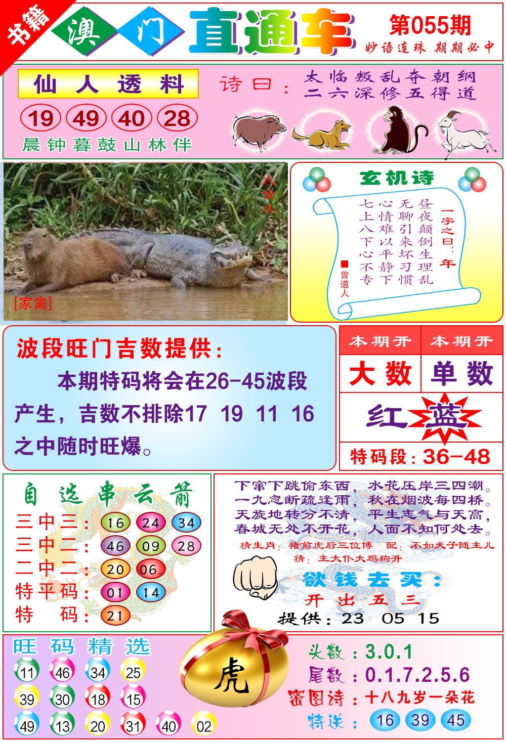 055期白姐直通车[图]