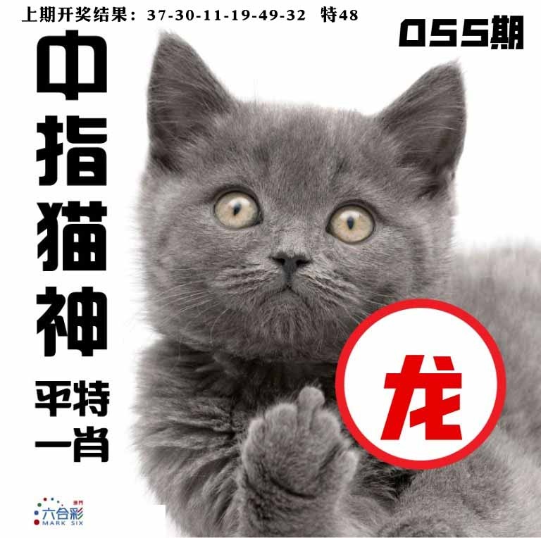 055期中指猫神[图]