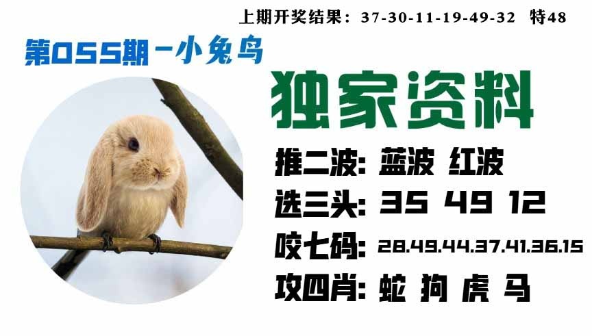 055期小兔鸟[图]