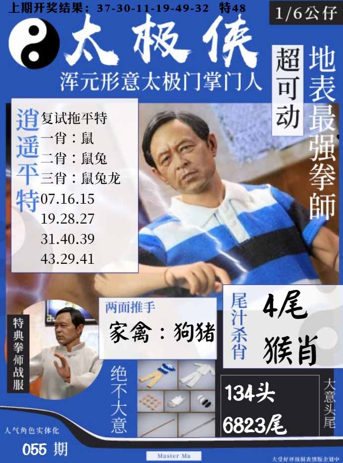 055期太极侠[图]